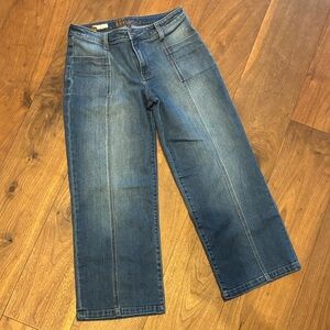 Kut from the Kloth “Lucy” Wide-Leg High-Rise Denim in Medium Blue